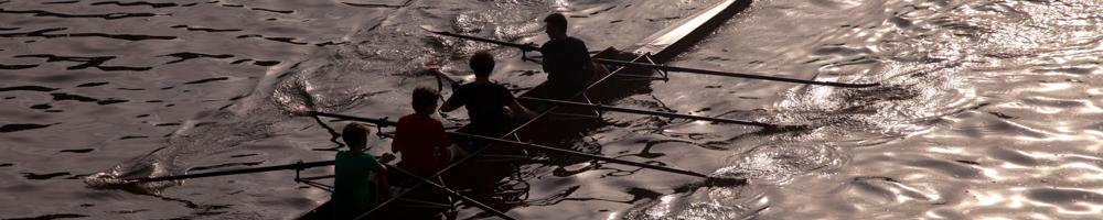 rowers in a row boat