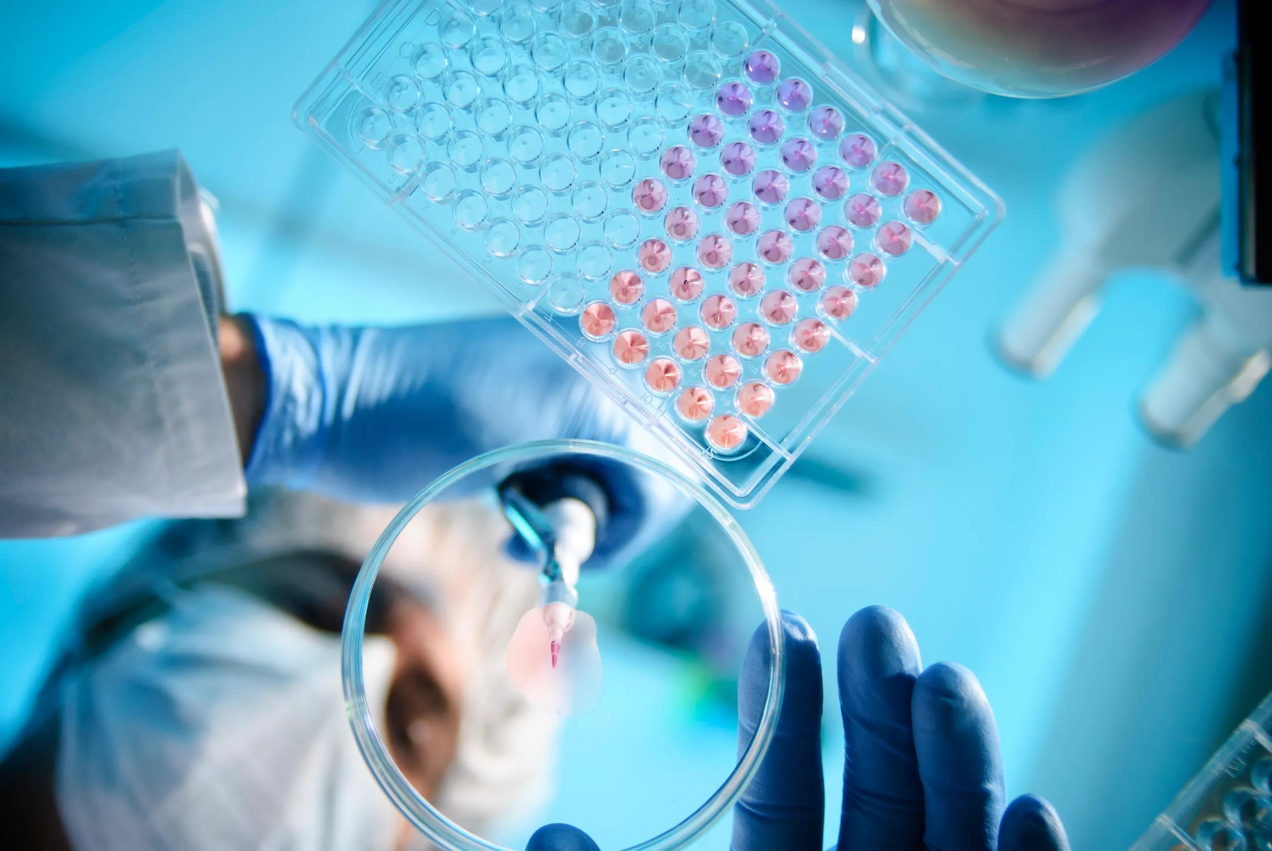 Lab Experiment
